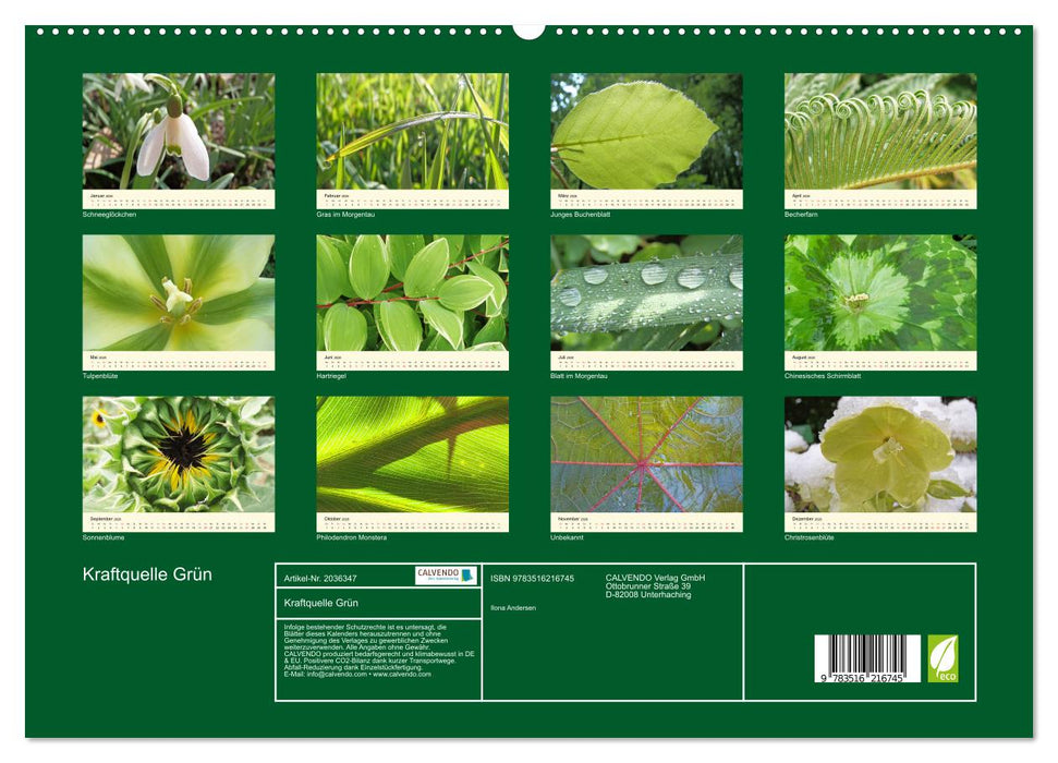 Kraftquelle Grün (CALVENDO Premium Wandkalender 2026)