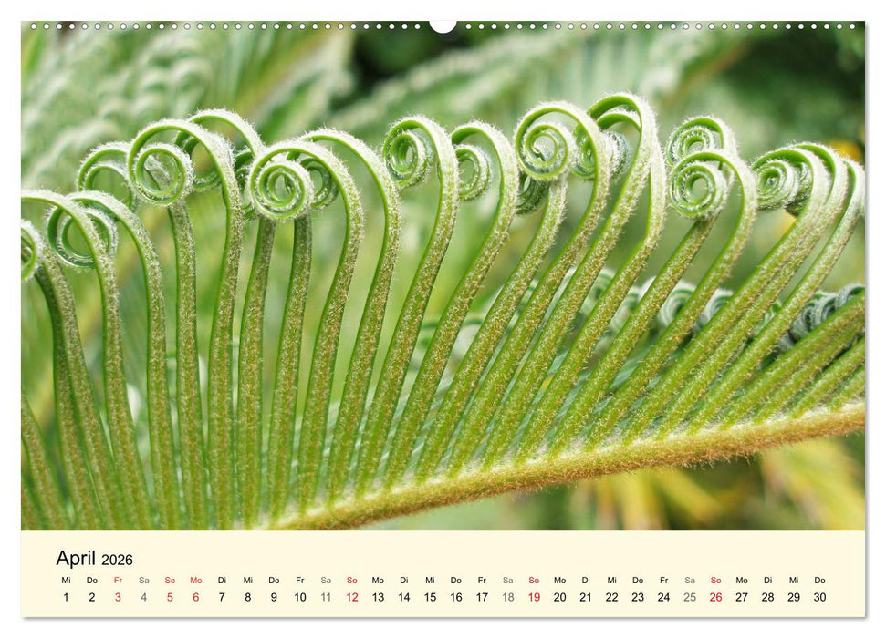 Kraftquelle Grün (CALVENDO Premium Wandkalender 2026)