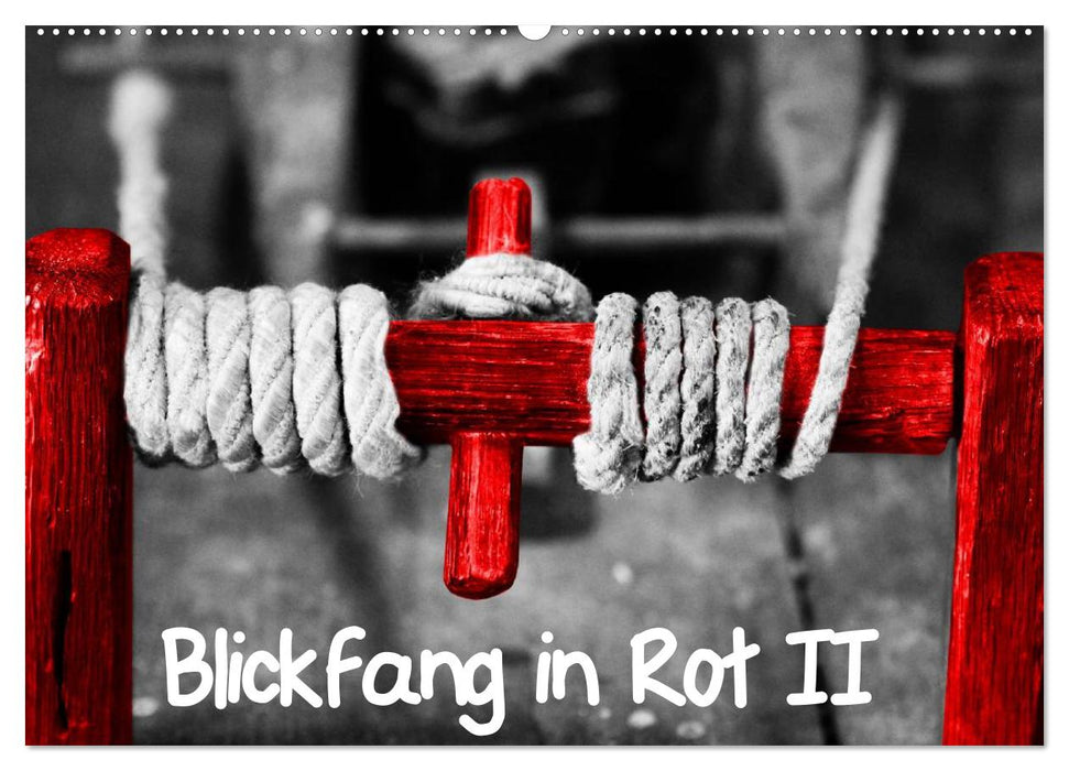 Blickfang in Rot (CALVENDO Wandkalender 2026)