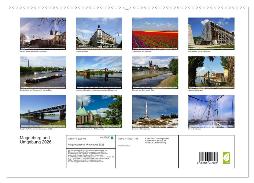 Magdeburg und Umgebung 2026 (CALVENDO Premium Wandkalender 2026)