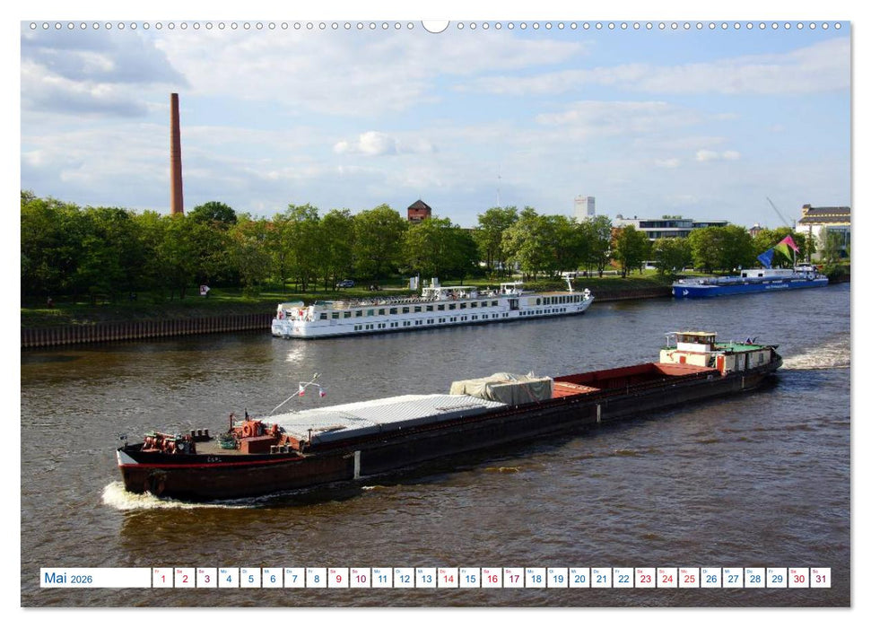 Magdeburg und Umgebung 2026 (CALVENDO Premium Wandkalender 2026)