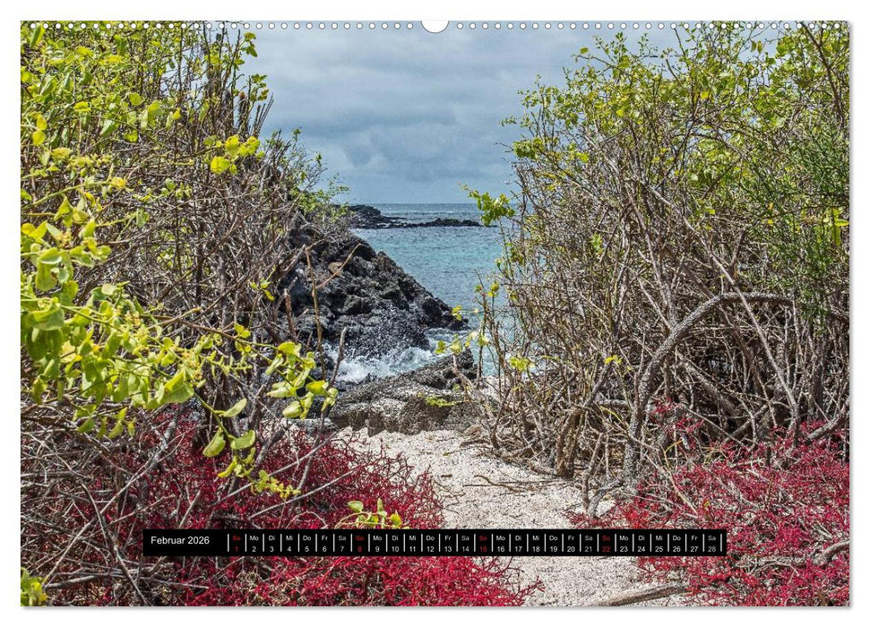 Galapagos- Landschaften (CALVENDO Wandkalender 2026)
