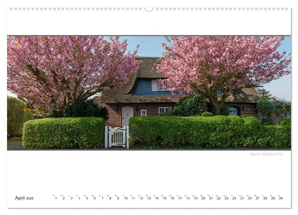 Emotionale Momente: Sylt de Luxe - die schönste deutsche Insel. (CALVENDO Wandkalender 2026)