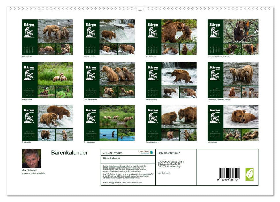 Bärenkalender (CALVENDO Premium Wandkalender 2026)