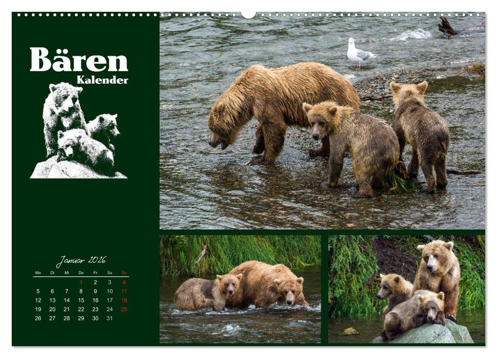 Bärenkalender (CALVENDO Premium Wandkalender 2026)
