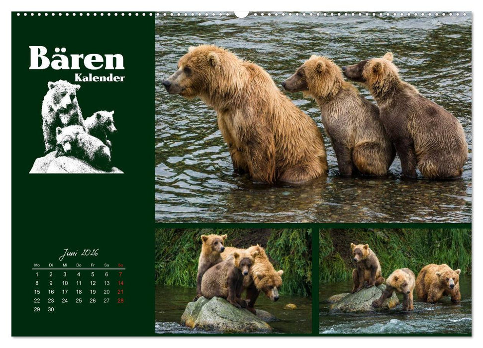 Bärenkalender (CALVENDO Premium Wandkalender 2026)