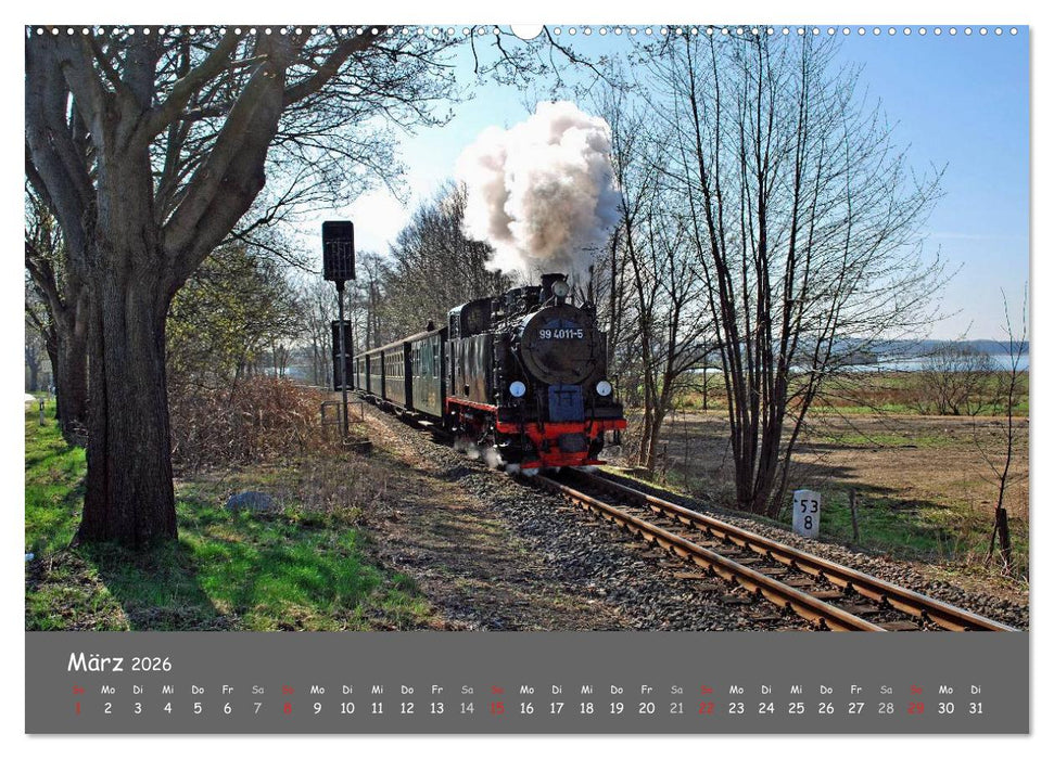 Rügen – Insel der Superlative (CALVENDO Wandkalender 2026)