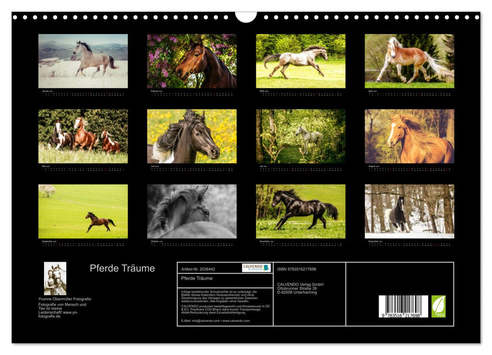Pferde Träume (CALVENDO Wandkalender 2026)