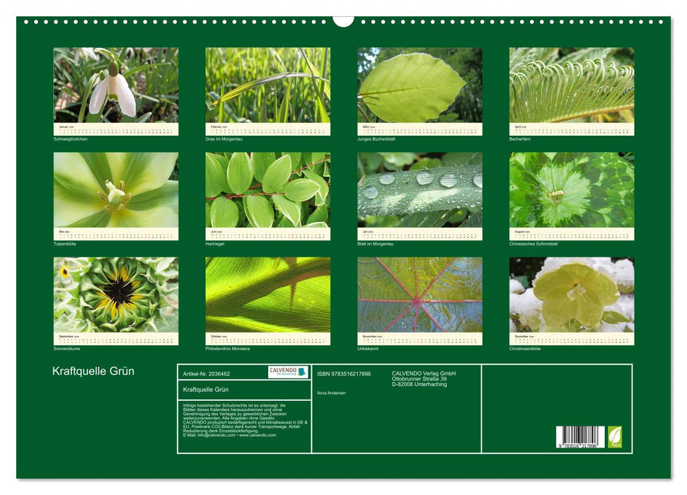 Kraftquelle Grün (CALVENDO Wandkalender 2026)