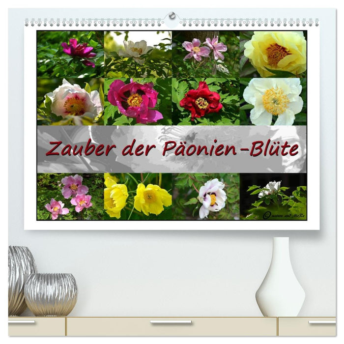 Zauber der Päonien-Blüte (CALVENDO Premium Wandkalender 2026)