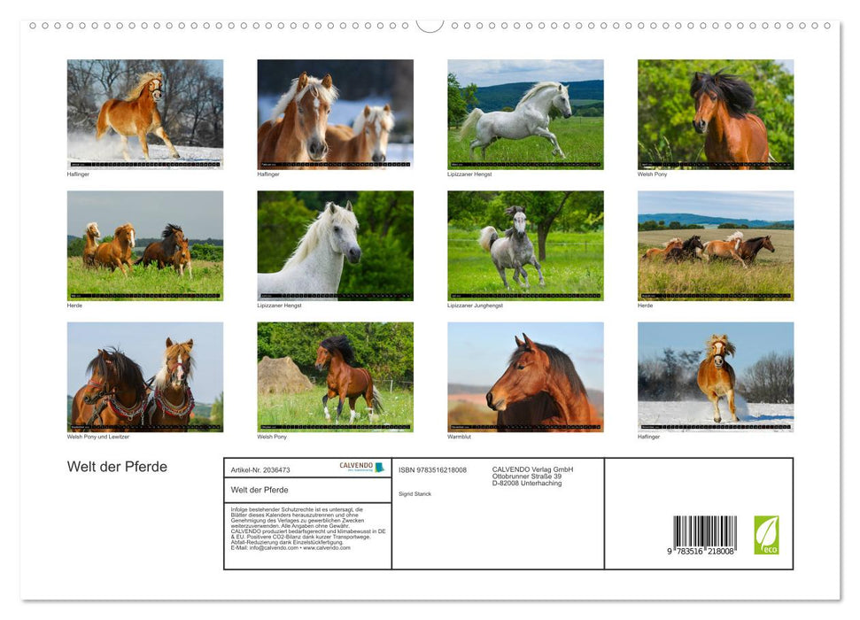 Welt der Pferde (CALVENDO Premium Wandkalender 2026)