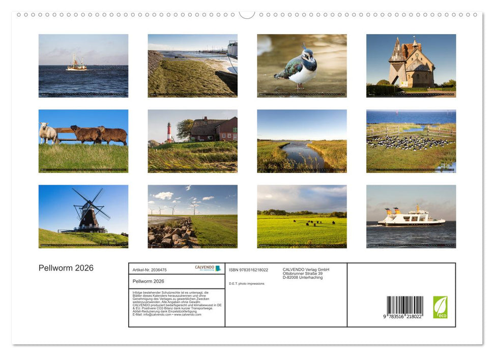 Pellworm 2026 (CALVENDO Premium Wandkalender 2026)