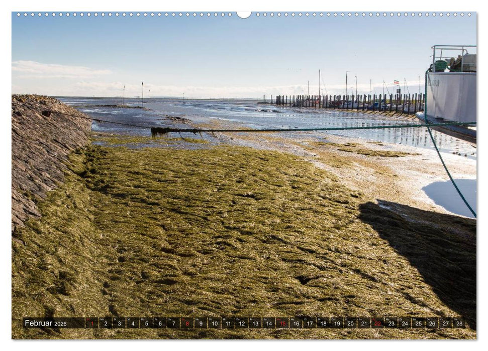 Pellworm 2026 (CALVENDO Premium Wandkalender 2026)