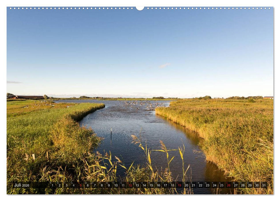 Pellworm 2026 (CALVENDO Premium Wandkalender 2026)