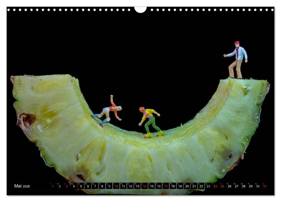 Überleben in der großen Welt - HO Figuren (CALVENDO Wandkalender 2026)