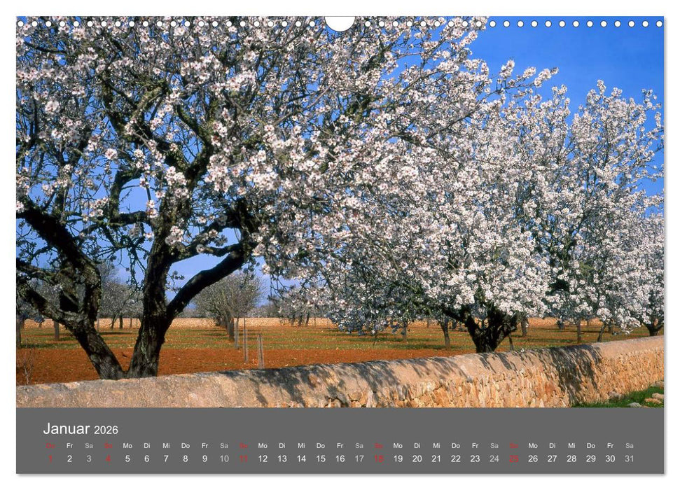 Trauminsel Mallorca (CALVENDO Wandkalender 2026)