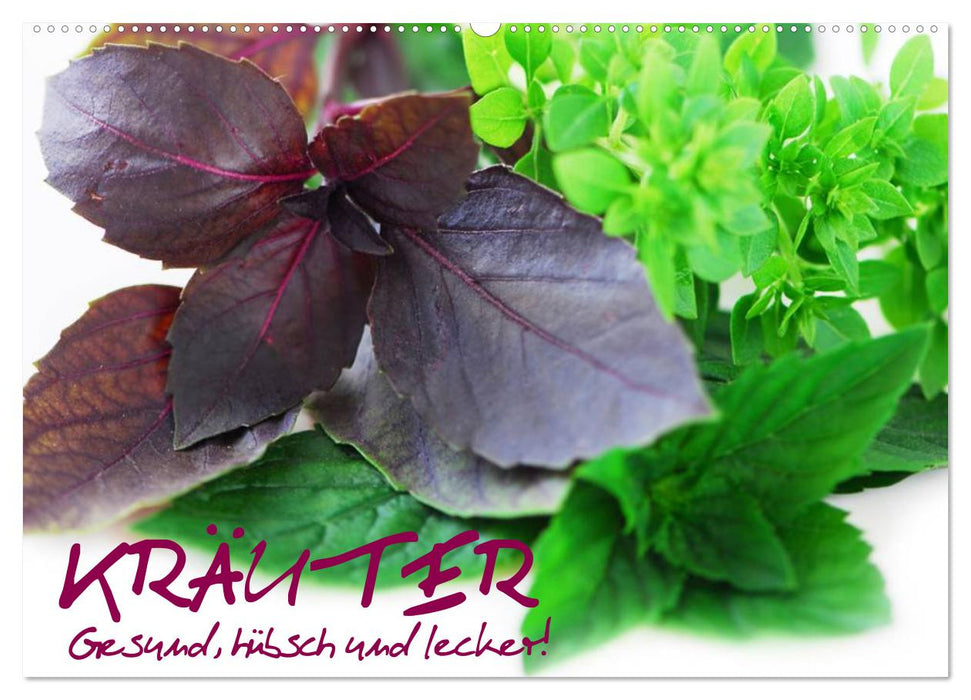 Kräuter - Gesund, hübsch und lecker (CALVENDO Wandkalender 2026)