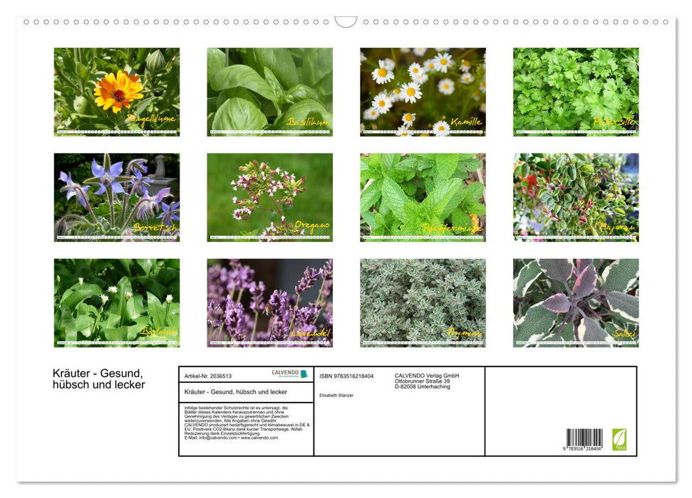 Kräuter - Gesund, hübsch und lecker (CALVENDO Wandkalender 2026)