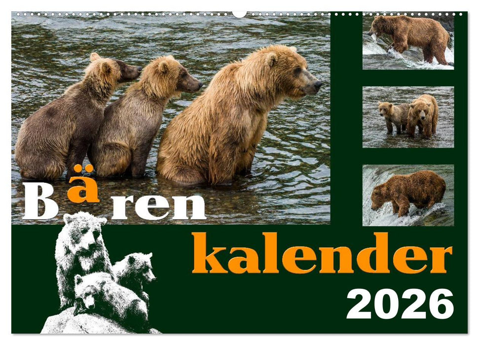 Bärenkalender (CALVENDO Wandkalender 2026)