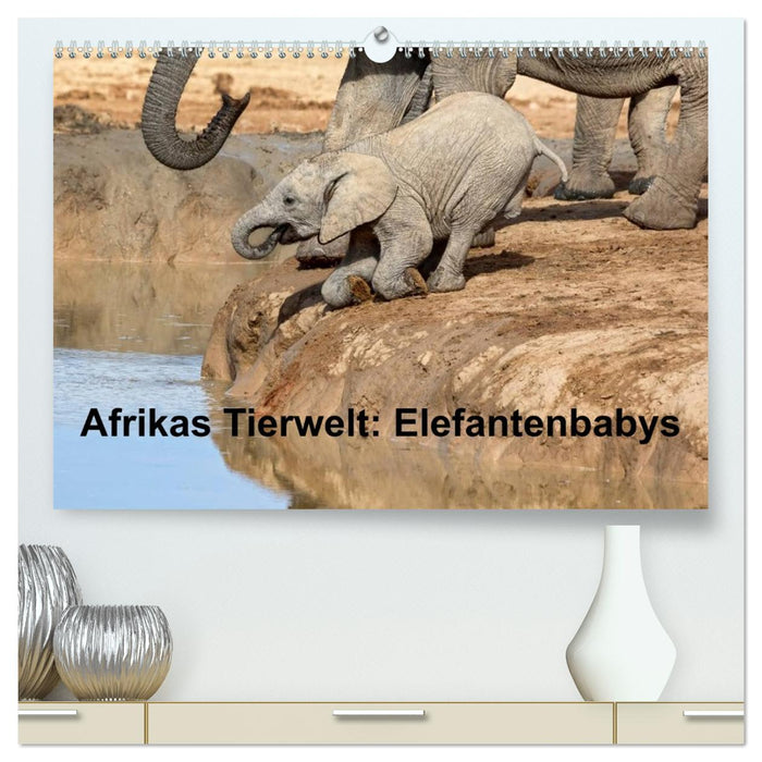 Afrikas Tierwelt: Elefantenbabys (CALVENDO Premium Wandkalender 2026)