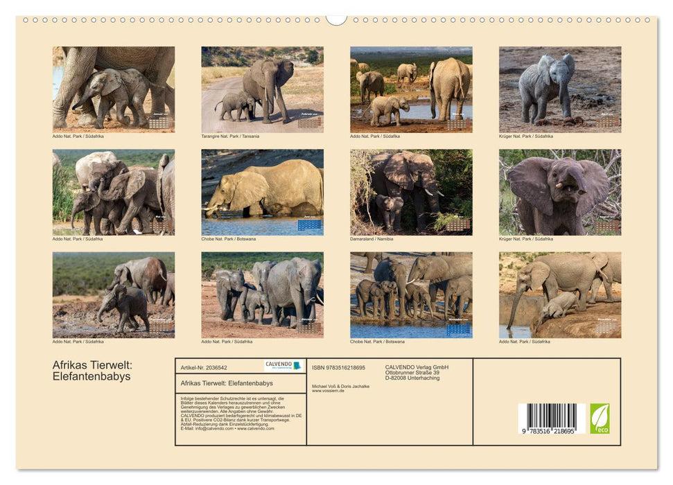 Afrikas Tierwelt: Elefantenbabys (CALVENDO Premium Wandkalender 2026)