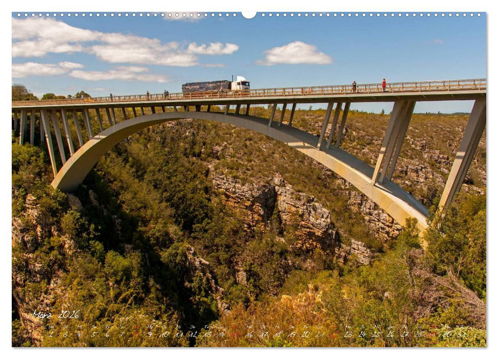 Am Kap von Südafrika (CALVENDO Wandkalender 2026)