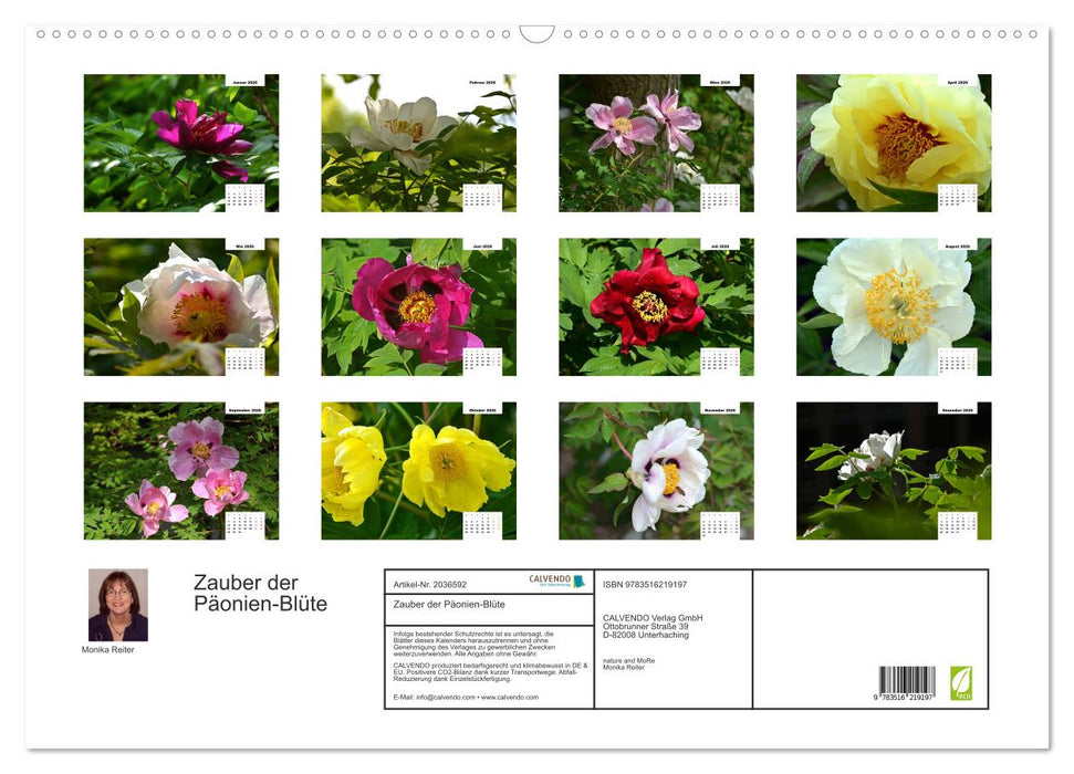 Zauber der Päonien-Blüte (CALVENDO Wandkalender 2026)