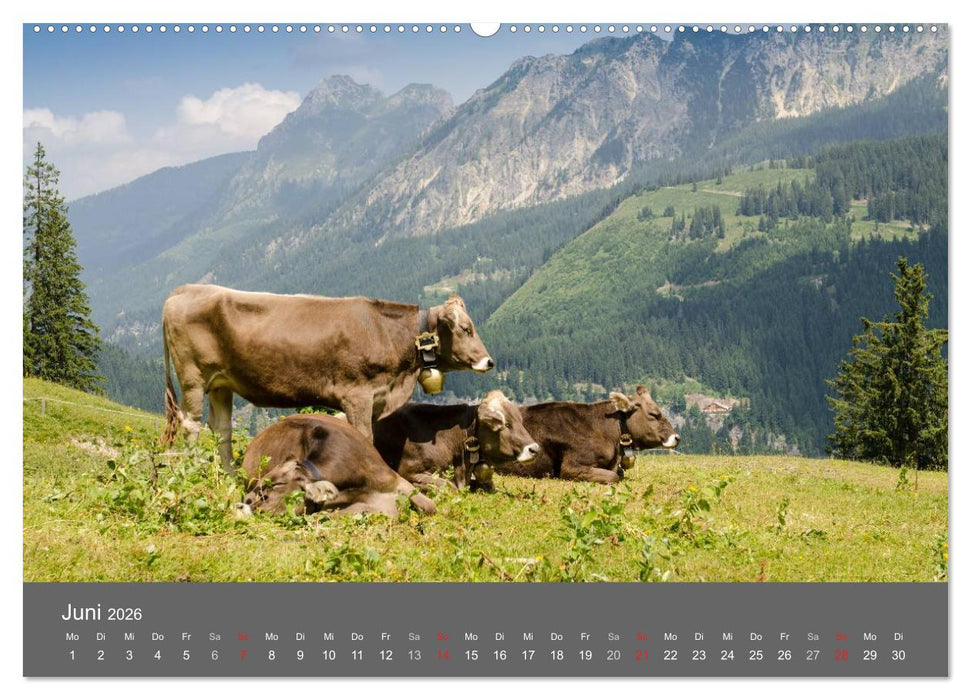 Tannheimer Tal (CALVENDO Premium Wandkalender 2026)