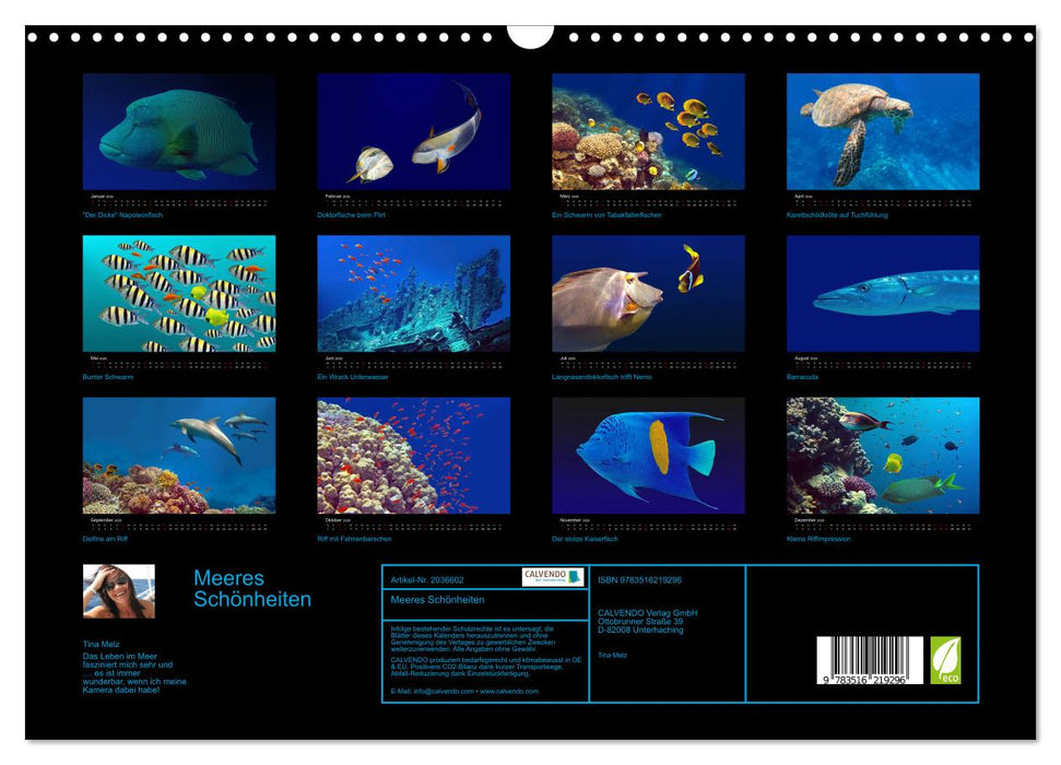 Meeres Schönheiten (CALVENDO Wandkalender 2026)