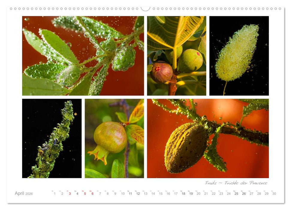 Sehnsucht Provence - Land des Lichts (CALVENDO Premium Wandkalender 2026)