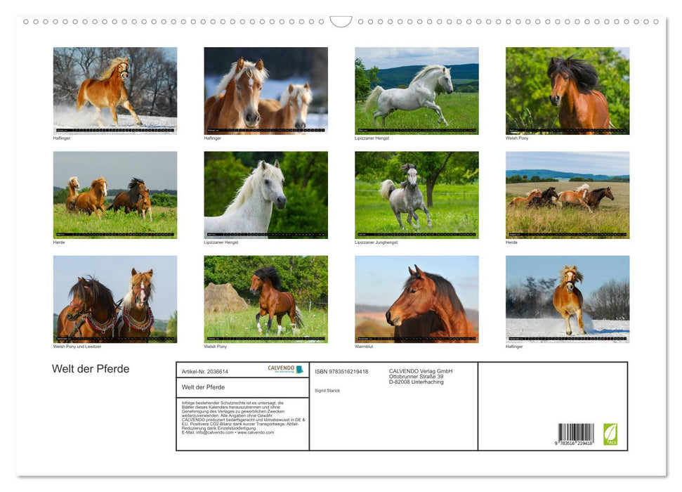 Welt der Pferde (CALVENDO Wandkalender 2026)
