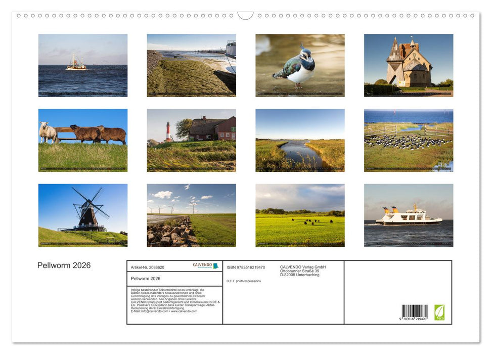 Pellworm 2026 (CALVENDO Wandkalender 2026)