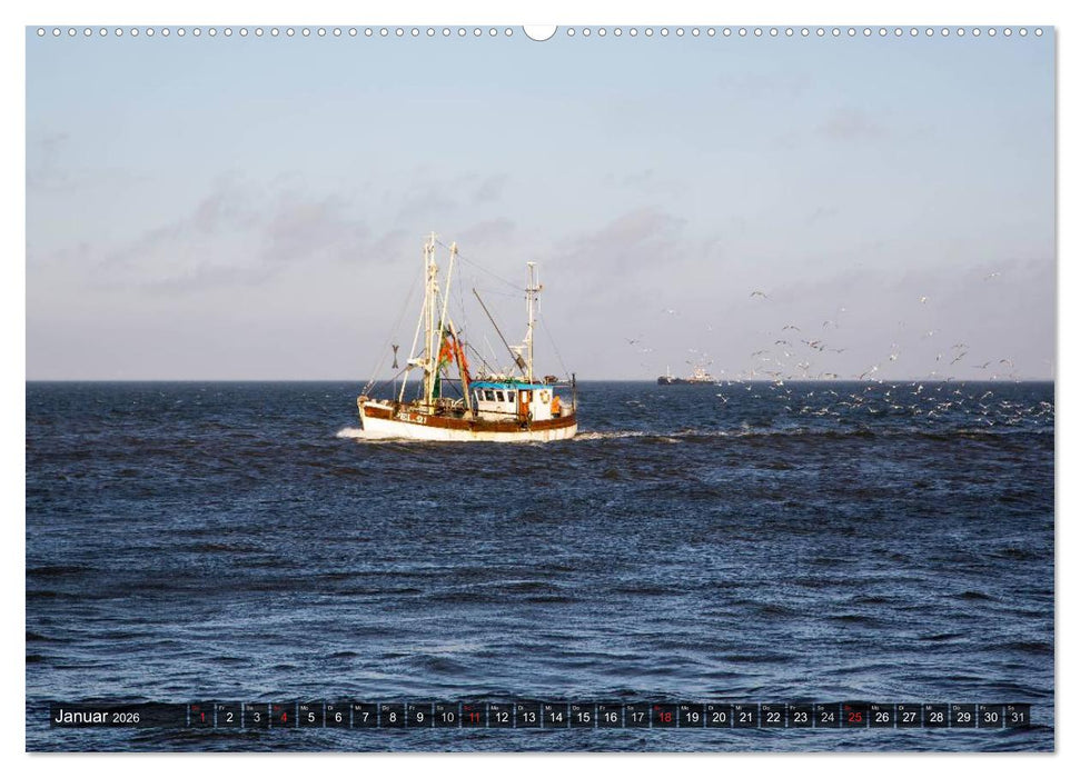 Pellworm 2026 (CALVENDO Wandkalender 2026)