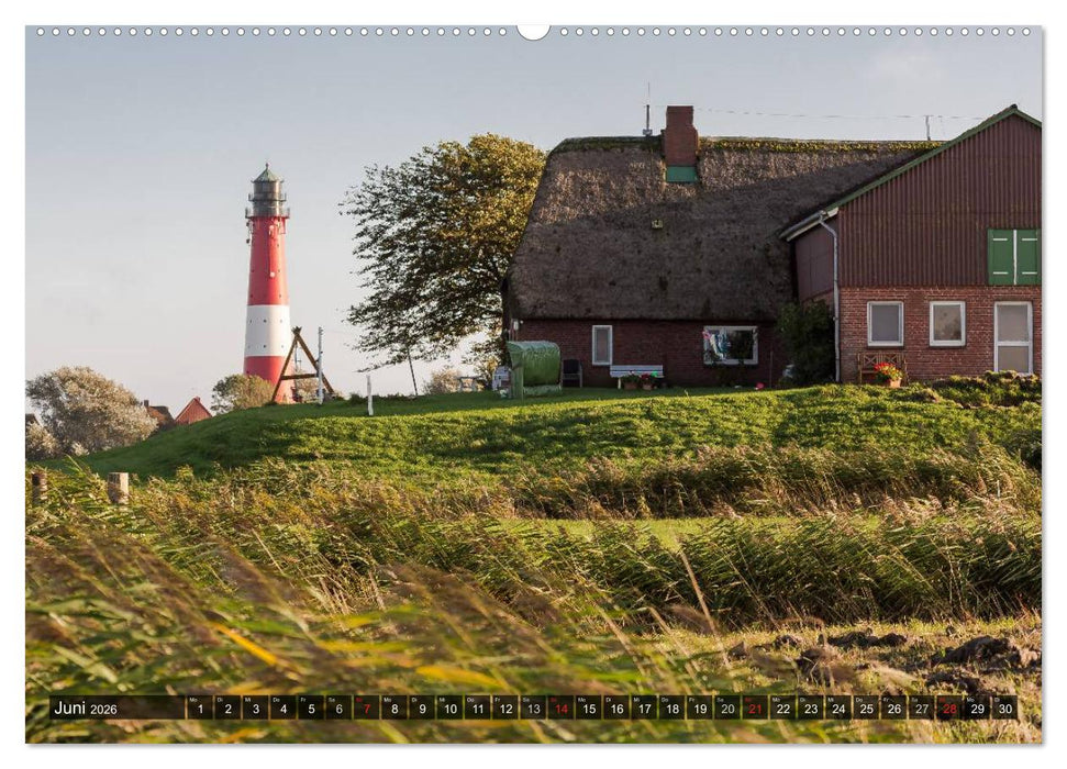 Pellworm 2026 (CALVENDO Wandkalender 2026)