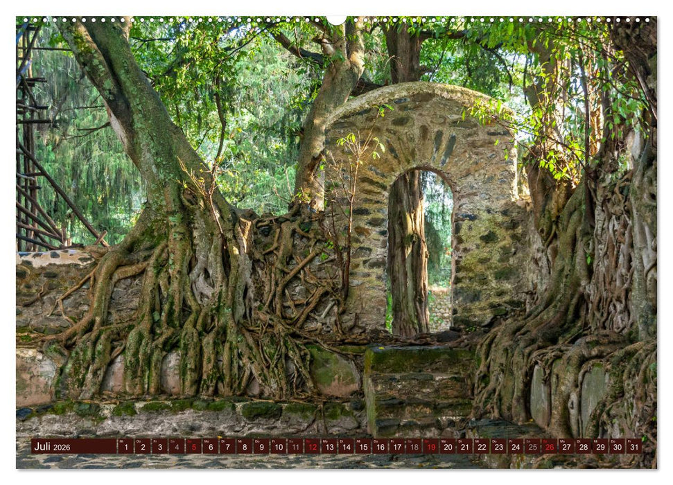 Äthiopien - 13 Monate Sonnenschein (CALVENDO Premium Wandkalender 2026)