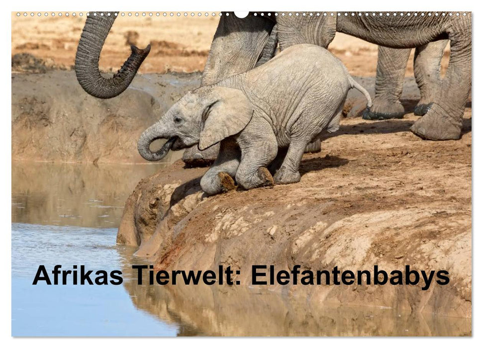 Afrikas Tierwelt: Elefantenbabys (CALVENDO Wandkalender 2026)
