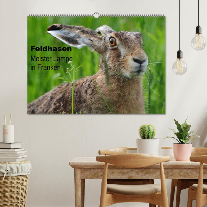 Feldhasen - Meister Lampe in Franken (CALVENDO Wandkalender 2026)