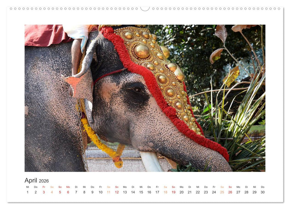 Kerala - Im Süden Indiens (CALVENDO Premium Wandkalender 2026)