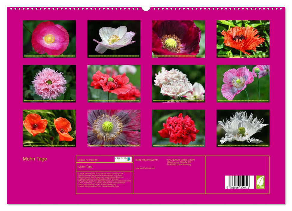 Mohn Tage (CALVENDO Premium Wandkalender 2026)