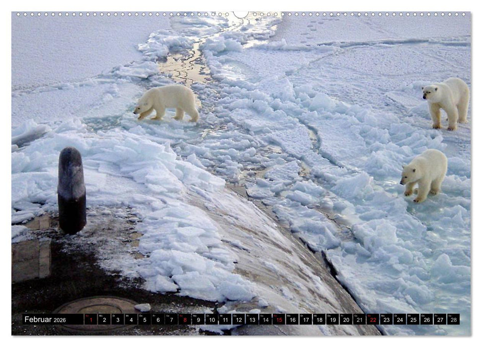 U-Boote - Militärische Ungetüme (CALVENDO Wandkalender 2026)