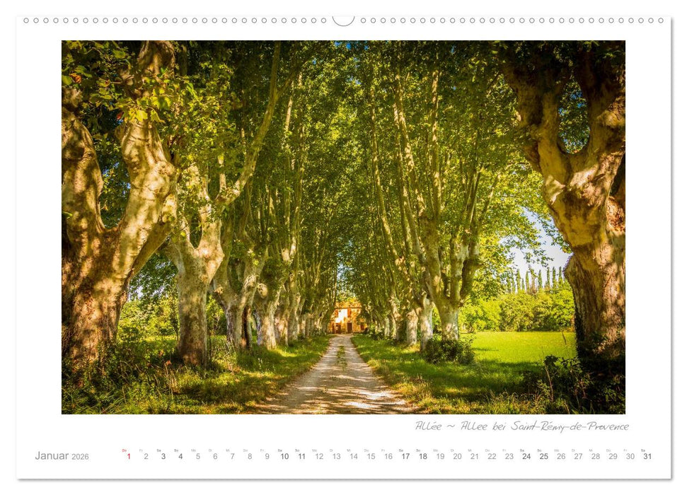 Sehnsucht Provence - Land des Lichts (CALVENDO Wandkalender 2026)