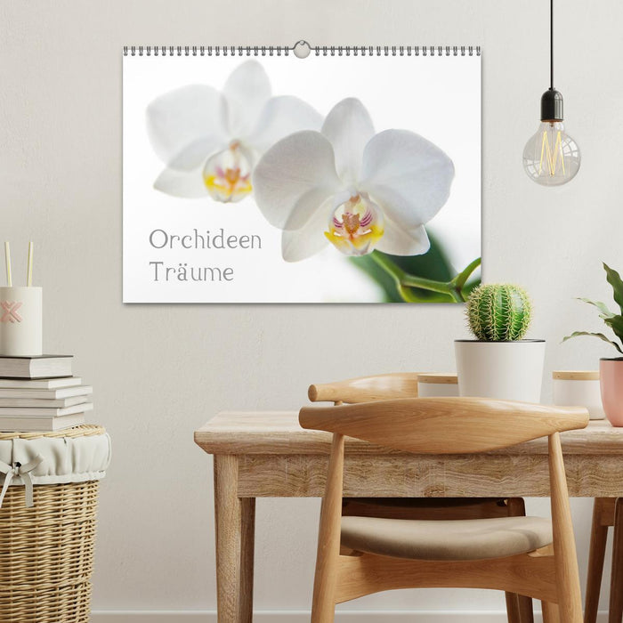 Orchideen Träume (CALVENDO Wandkalender 2026)