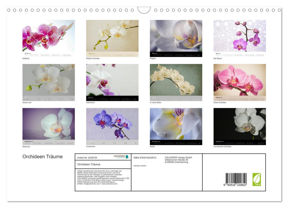 Orchideen Träume (CALVENDO Wandkalender 2026)