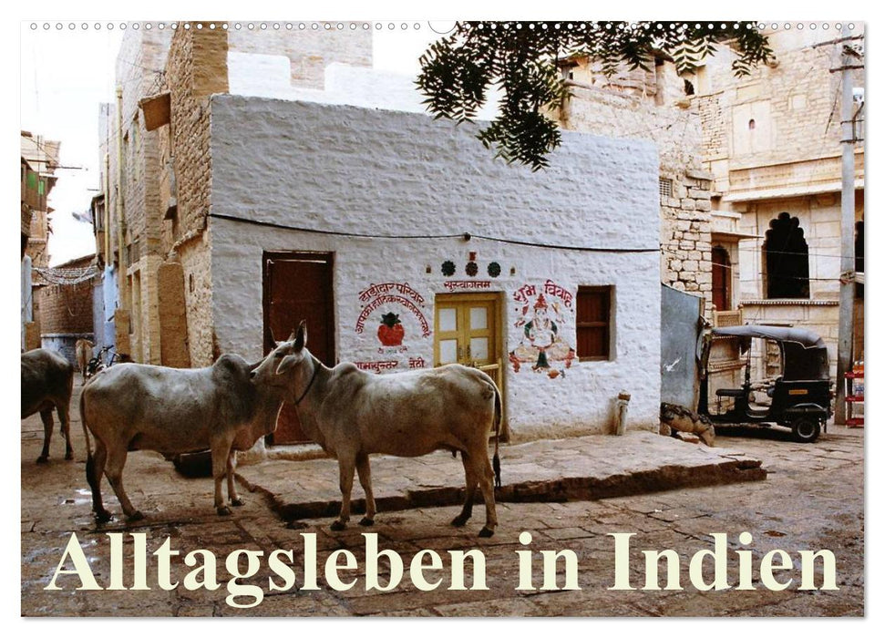 Alltagsleben in Indien (CALVENDO Wandkalender 2026)