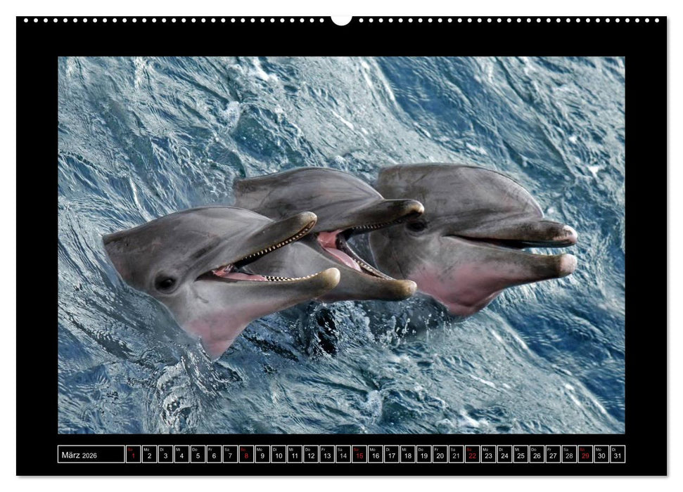 Wildtiere (CALVENDO Premium Wandkalender 2026)