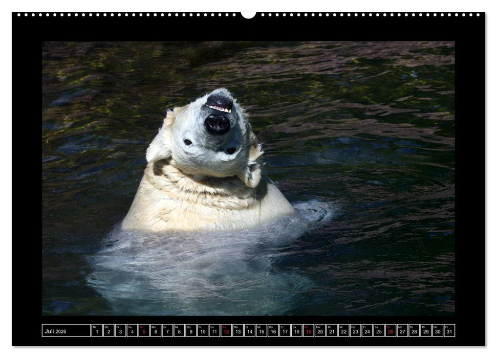 Wildtiere (CALVENDO Premium Wandkalender 2026)