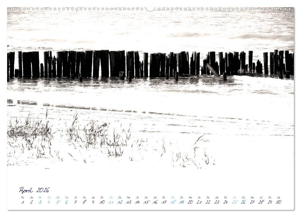 Meeresbilder - Nordsee-Impressionen (CALVENDO Premium Wandkalender 2026)