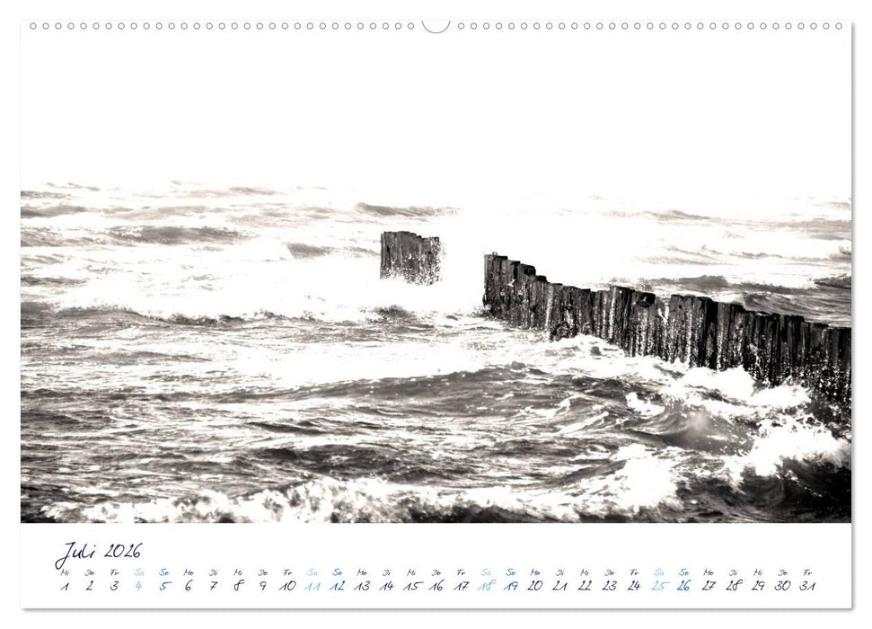 Meeresbilder - Nordsee-Impressionen (CALVENDO Premium Wandkalender 2026)