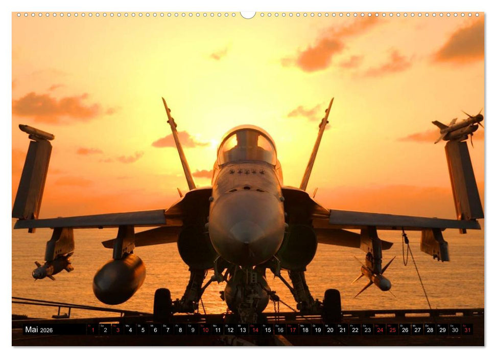 Kampfjets • U.S. Aircraft (CALVENDO Premium Wandkalender 2026)