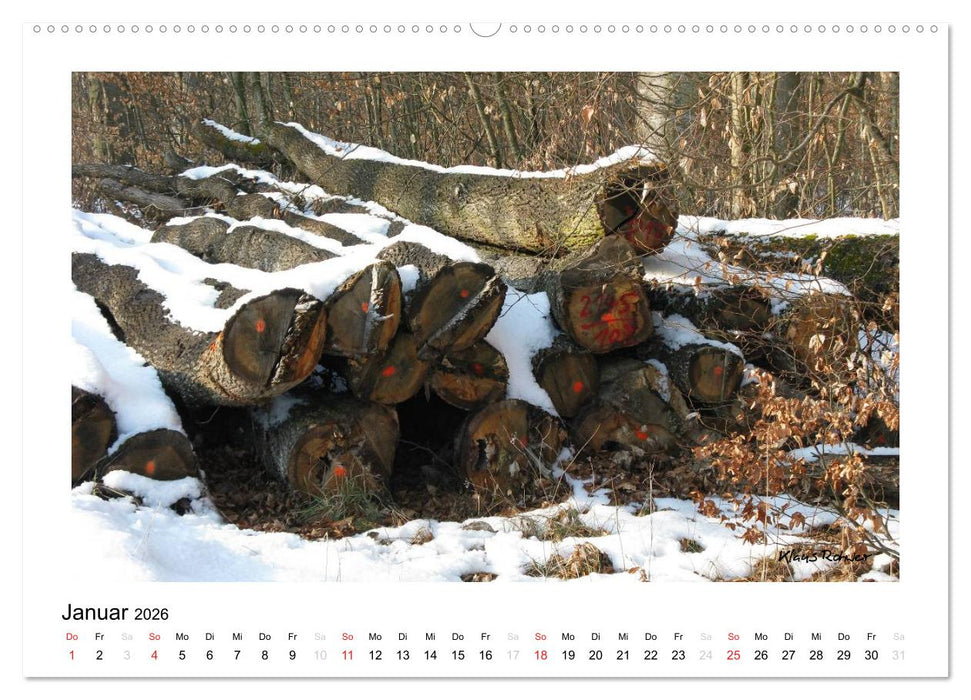 Holz - so vielfältig (CALVENDO Wandkalender 2026)